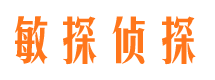 石鼓市侦探公司